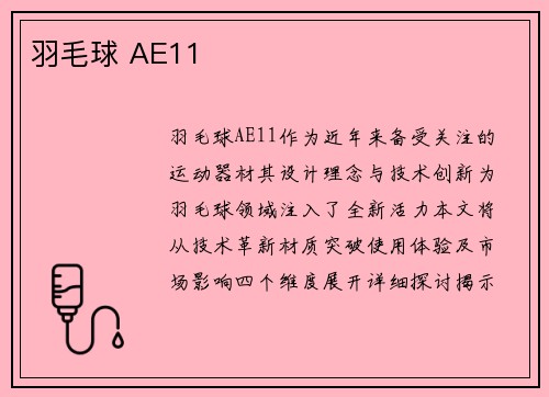 羽毛球 AE11