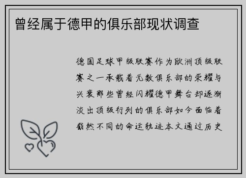 曾经属于德甲的俱乐部现状调查